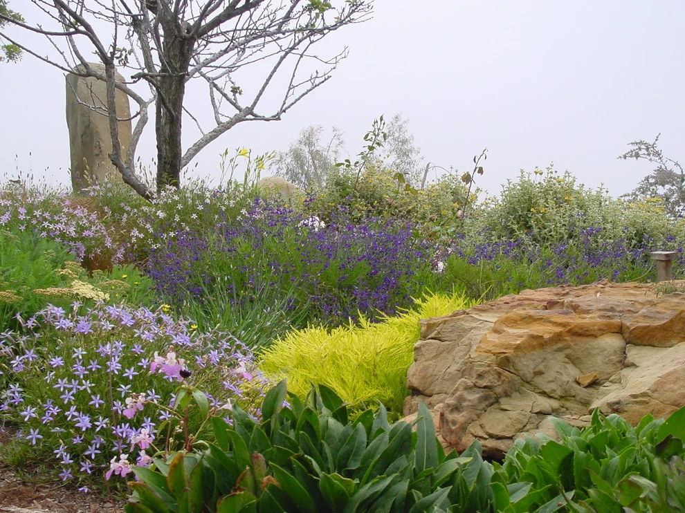 Malibu by Campion Walker Landscapes - Photo 14