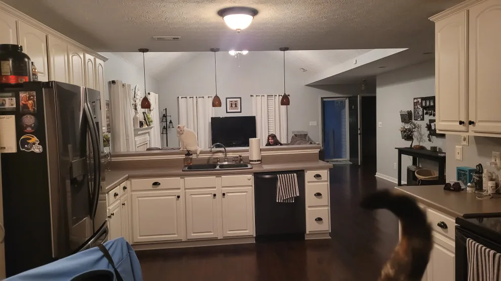 Senoia Kitchen Renovation by ReVision Remodeling Design Service - Photo 14