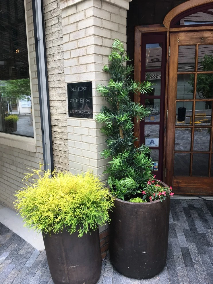 Sassafras Southern Bistro, Greenville SC by CMHP Design, LLC - Photo 3