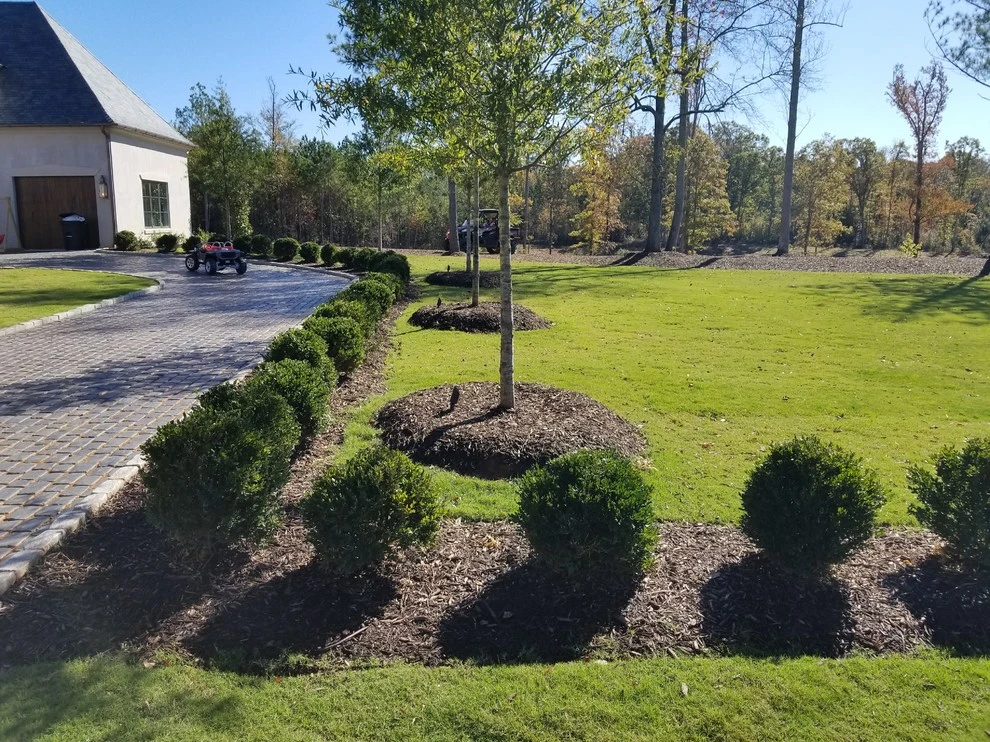 Estate in Easley,SC by CMHP Design, LLC - Photo 12