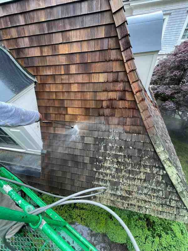 Ramirez Landscaping & Renovation INC by Ramirez Landscaping & Renovation INC - Photo 5