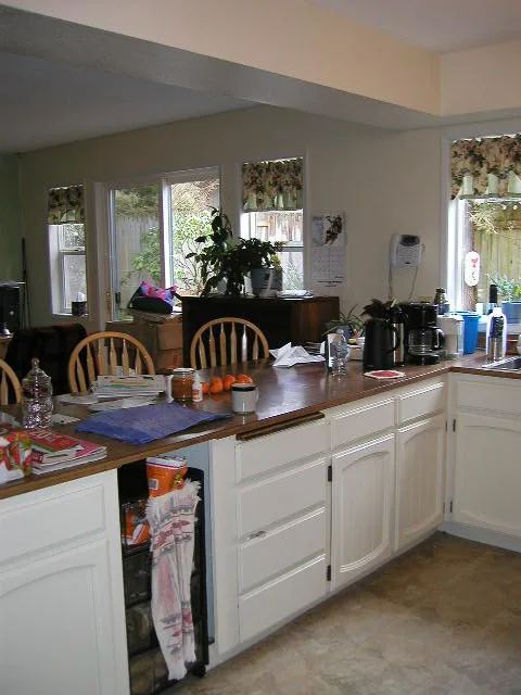 Puget Sound Culinary Renovation by Domistyle Design - Photo 3