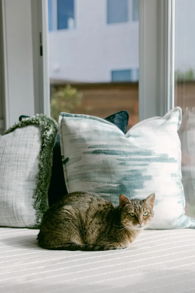 Custom Classic by Lori Ramsay Design - Photo 6
