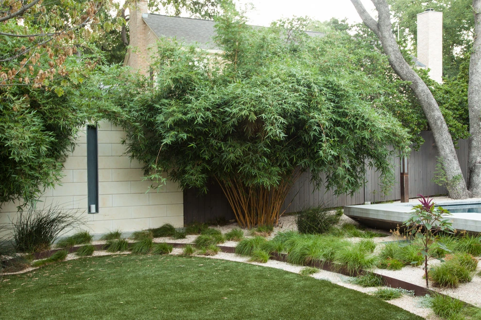 central austin modern mediterranean by D-CRAIN Design And Construction - Photo 27