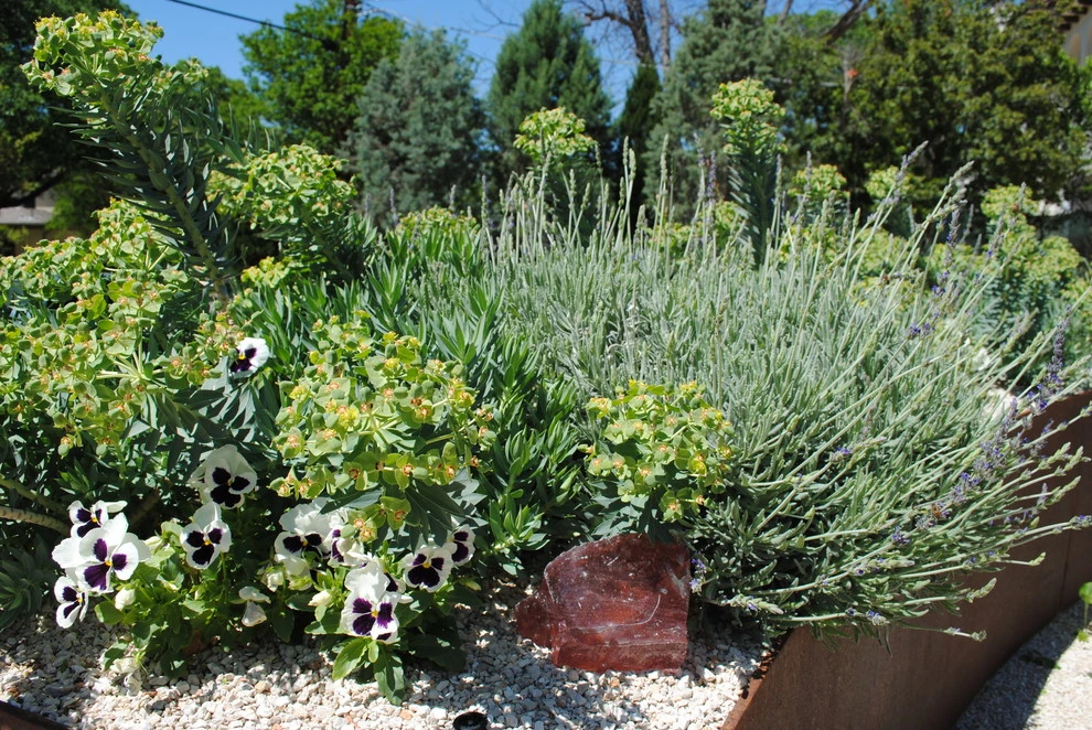flora by D-CRAIN Design And Construction - Photo 13