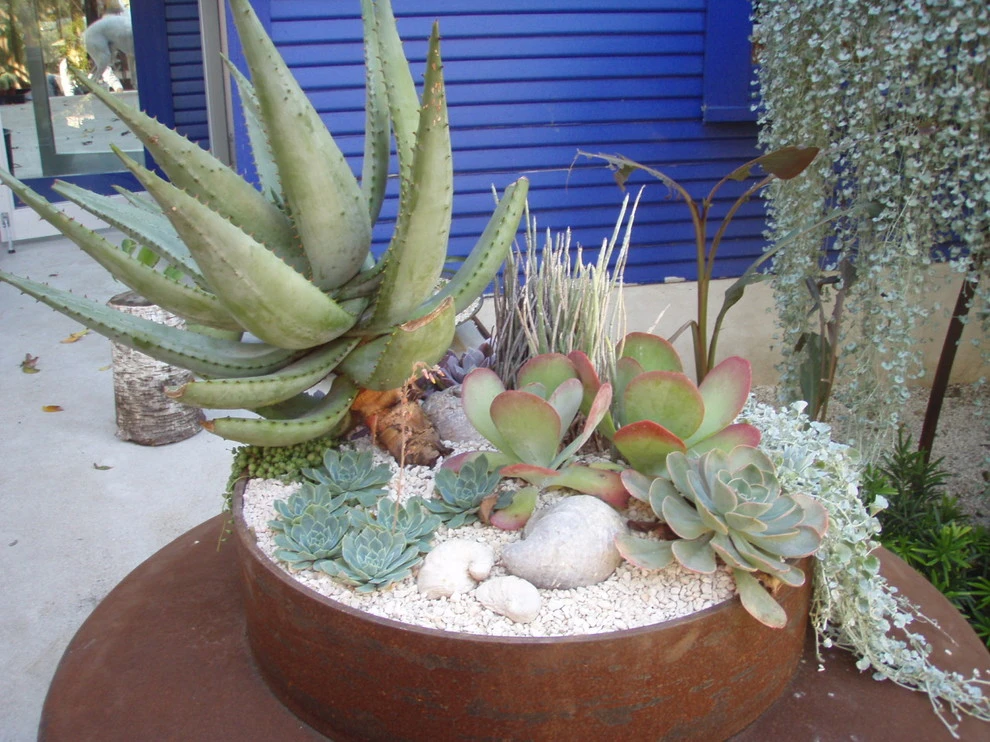 flora by D-CRAIN Design And Construction - Photo 24