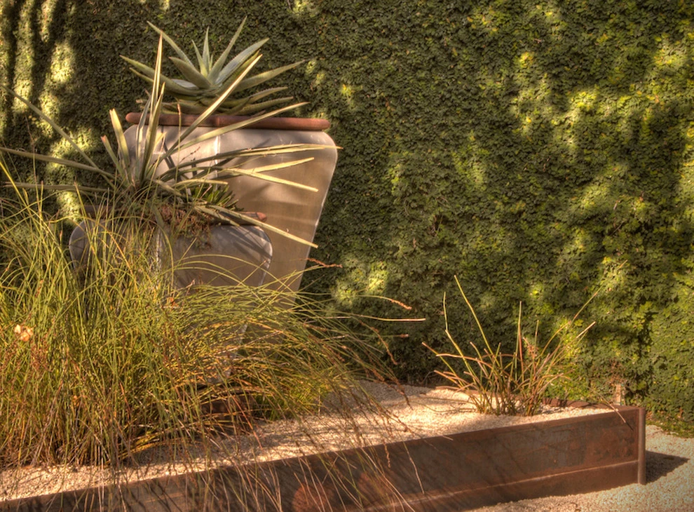 central austin hillside by D-CRAIN Design And Construction - Photo 5