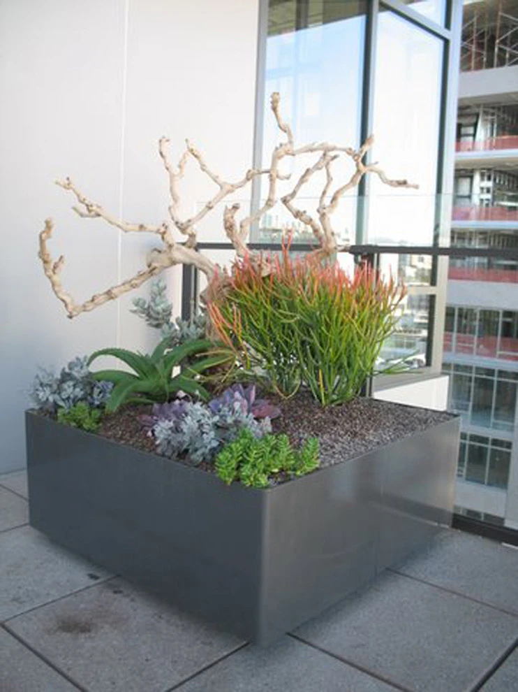 flora by D-CRAIN Design And Construction - Photo 21
