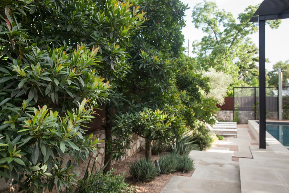 central austin back yard by D-CRAIN Design And Construction - Photo 18