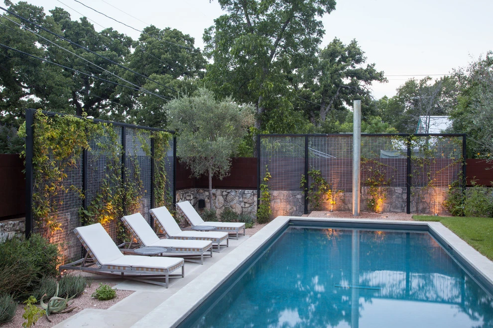 central austin back yard by D-CRAIN Design And Construction - Photo 6