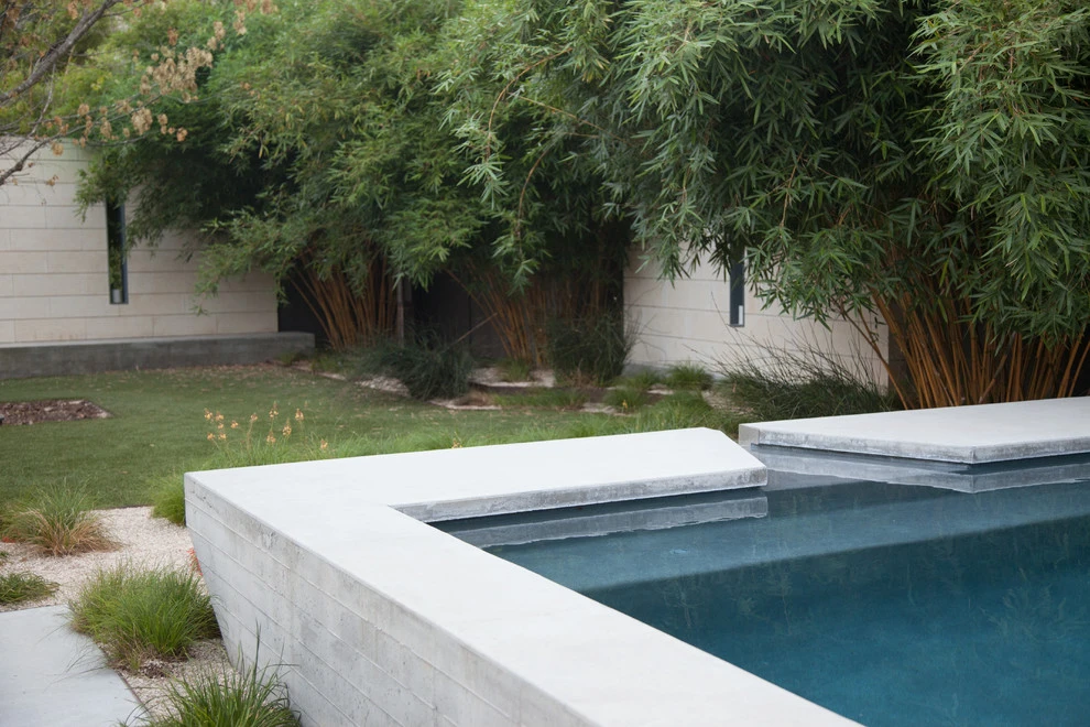 central austin modern mediterranean by D-CRAIN Design And Construction - Photo 11