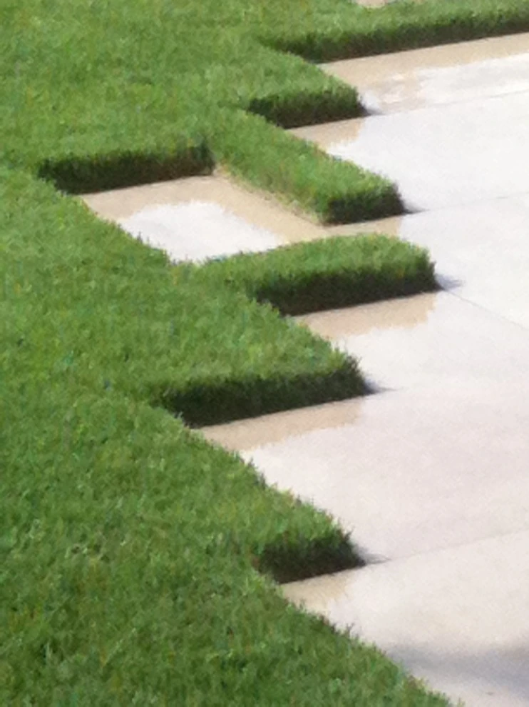 steps by D-CRAIN Design And Construction - Photo 21