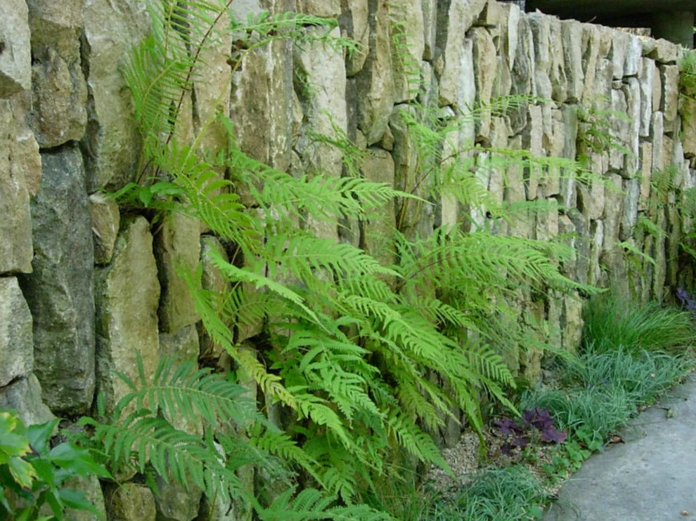 stone by D-CRAIN Design And Construction - Photo 3