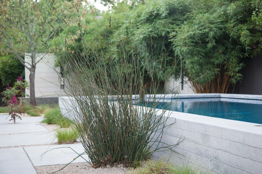 central austin modern mediterranean by D-CRAIN Design And Construction - Photo 34