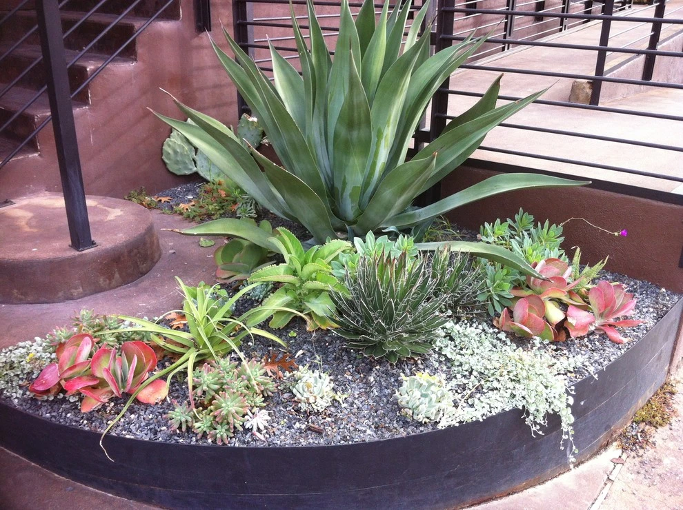 flora by D-CRAIN Design And Construction - Photo 6