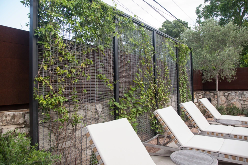 central austin back yard by D-CRAIN Design And Construction - Photo 4