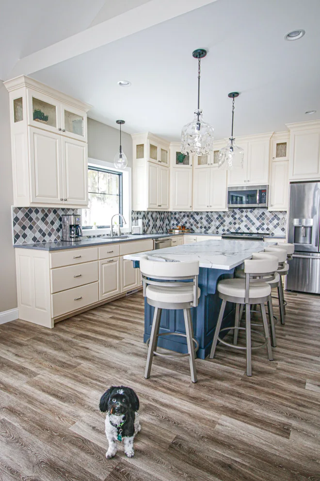 Blue Island Transitional Kitchen by Traci Rauner Design - Photo 2