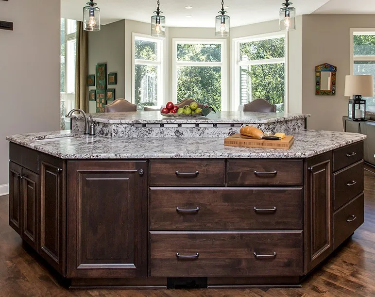Urbandale Culinary Renovation by Cabinets By Design LLC - Photo 5
