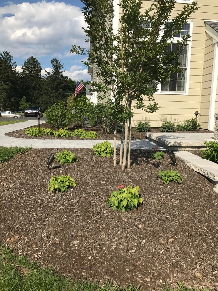 Dickerson by EG Rall Jr Landscape Design & Horticultural Srvs - Photo 16