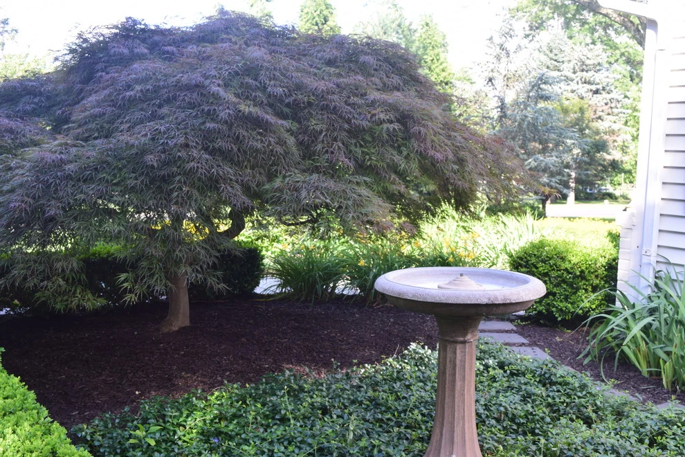 Blue Bell Pa by EG Rall Jr Landscape Design & Horticultural Srvs - Photo 14
