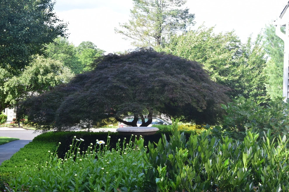 Blue Bell Pa by EG Rall Jr Landscape Design & Horticultural Srvs - Photo 20