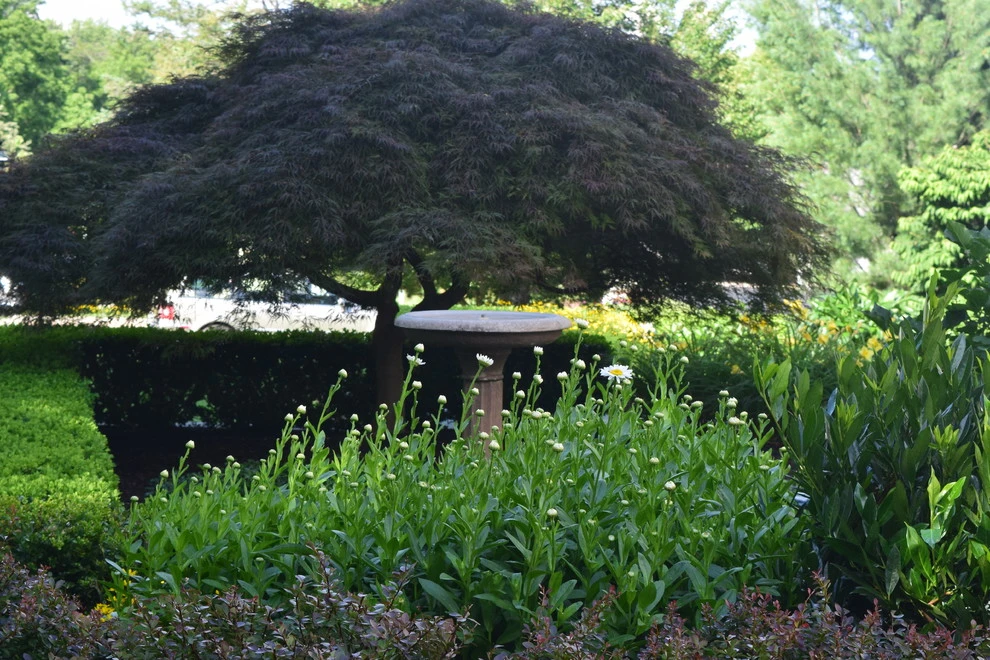 Blue Bell Pa by EG Rall Jr Landscape Design & Horticultural Srvs - Photo 9
