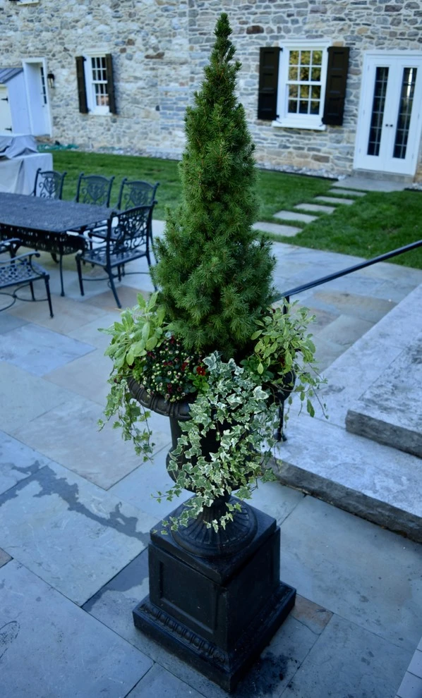Flourtown, Pa estate by EG Rall Jr Landscape Design & Horticultural Srvs - Photo 6
