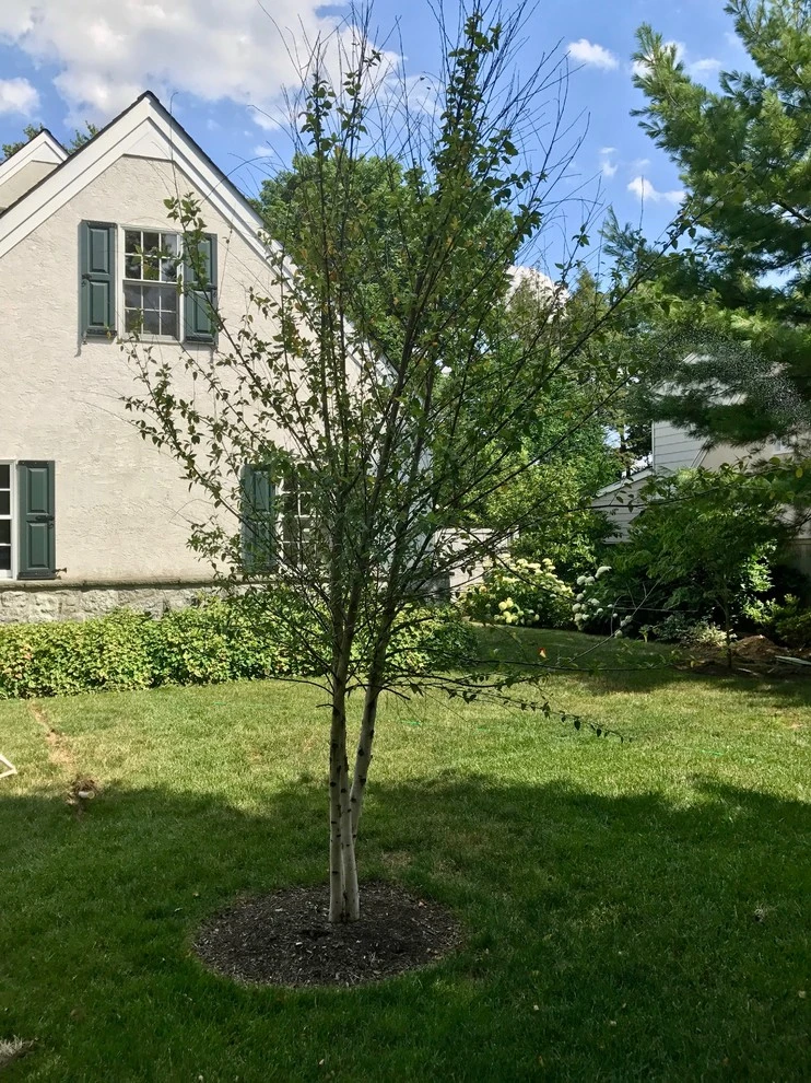 Redpath by EG Rall Jr Landscape Design & Horticultural Srvs - Photo 9