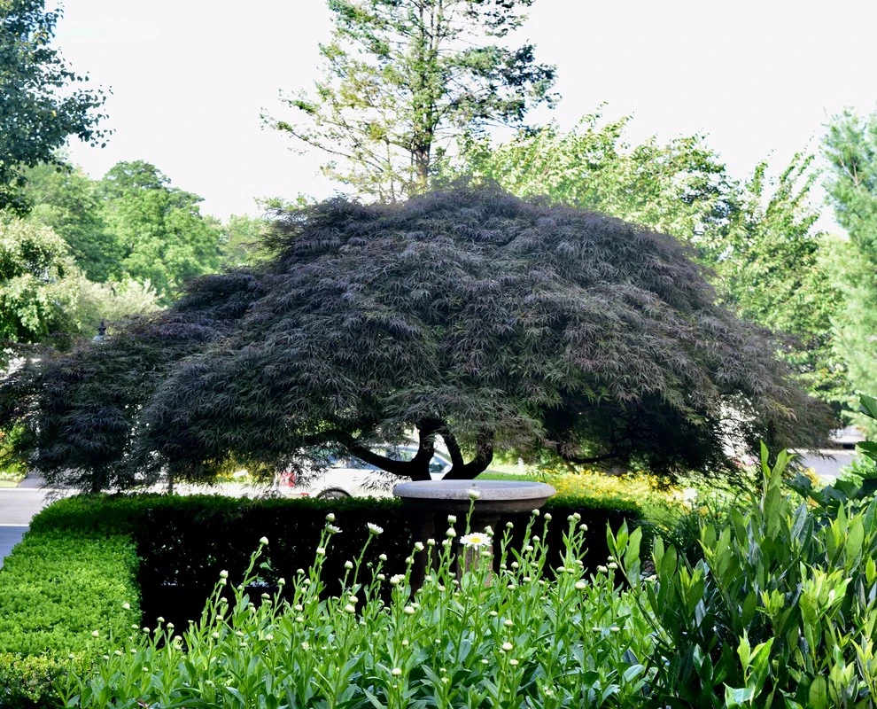Blue Bell Pa by EG Rall Jr Landscape Design & Horticultural Srvs - Photo 12