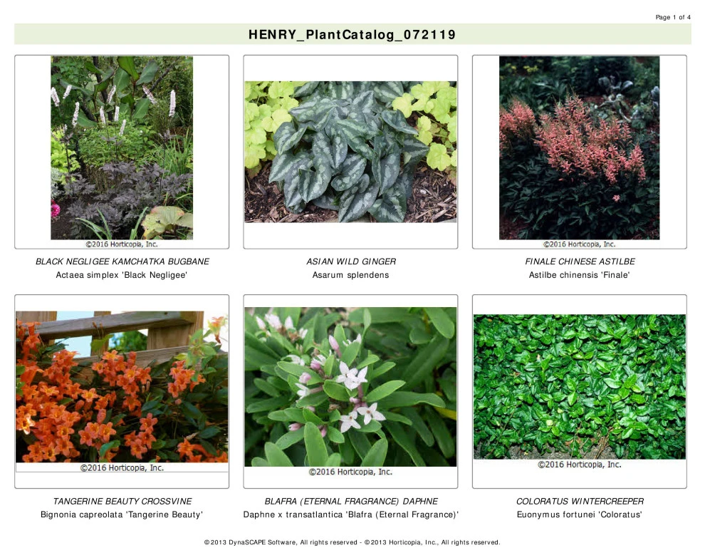 Designs & Models by EG Rall Jr Landscape Design & Horticultural Srvs - Photo 43