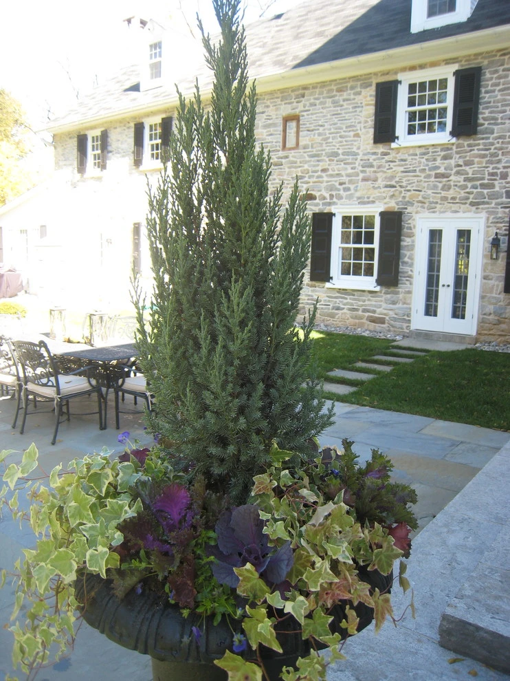 Flourtown, Pa estate by EG Rall Jr Landscape Design & Horticultural Srvs - Photo 15