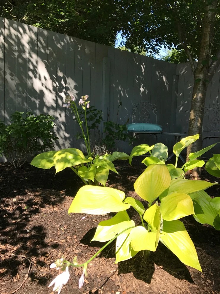 Redpath by EG Rall Jr Landscape Design & Horticultural Srvs - Photo 10