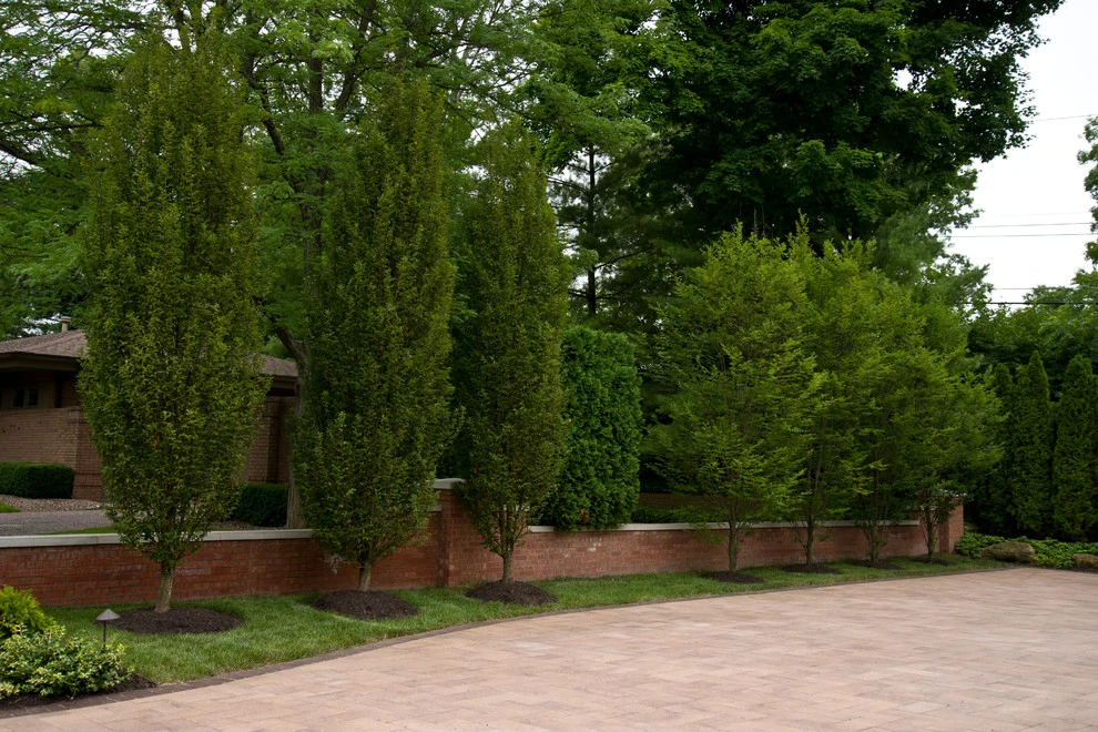 Second Generation Pavers by Engledow Estates - Photo 12