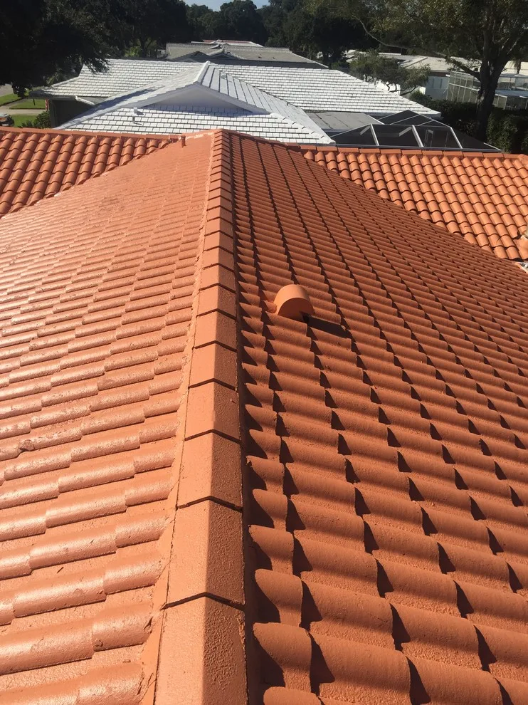 Outdoor Coating by American Veterans Painting, LLC - Photo 17