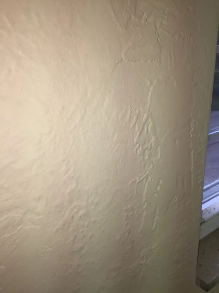 Interior Plaster Repair and Painting Project by Sweet Success Contractors Inc. - Photo 7