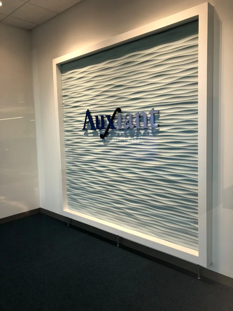 Exterior and Interior Projects from 2012 to 2019 by DPI Quality Custom Finishes - Photo 4