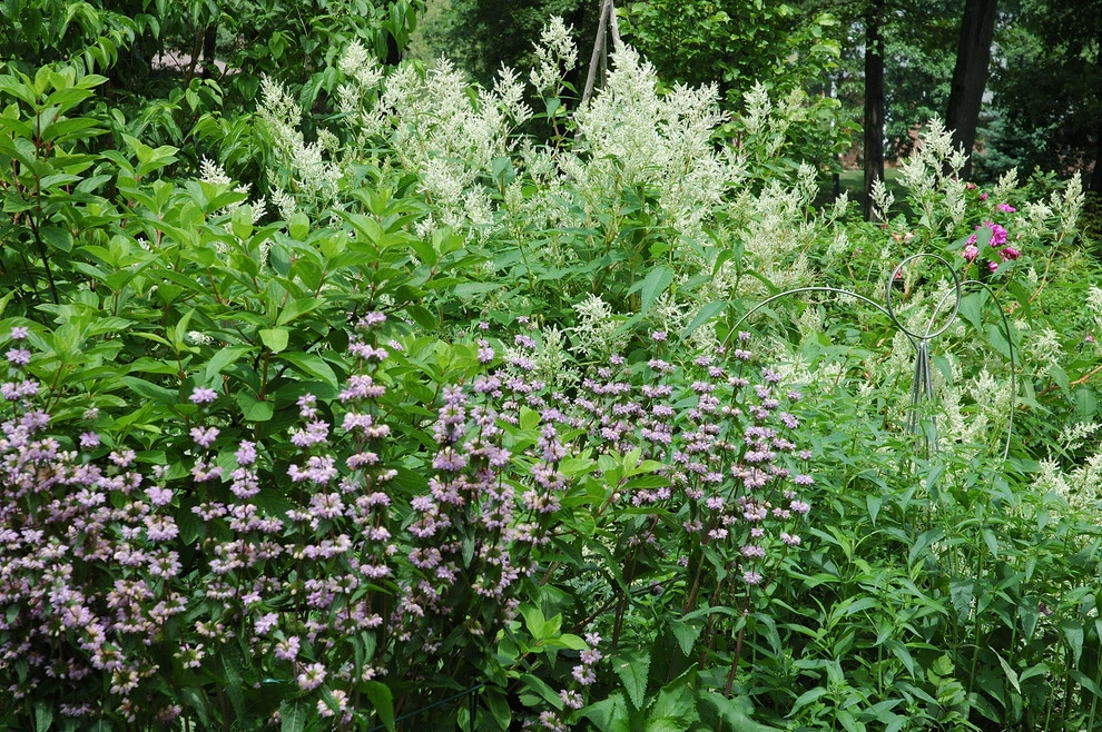 Cottage Garden and Pergola by Land Architects, Inc. - Photo 3