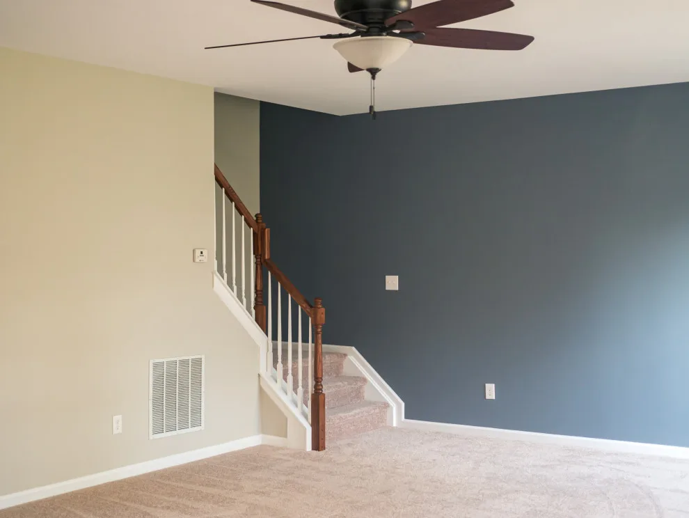 Color World House Painting - Photo 10