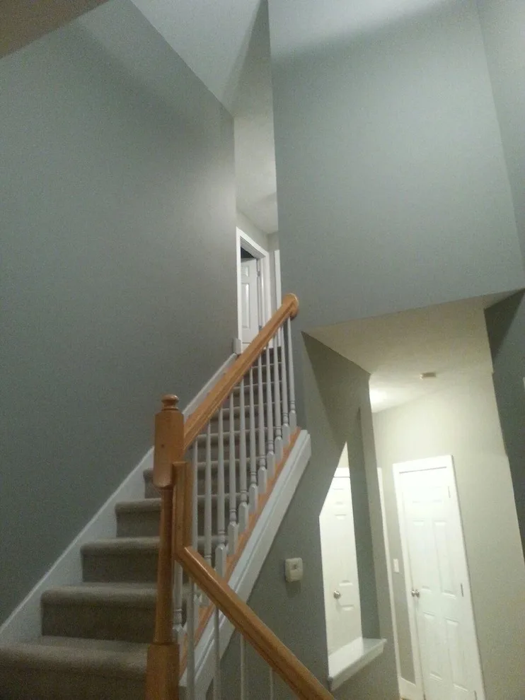 Interior Painting Initiatives by Service Pro Painting & Improvement - Photo 21