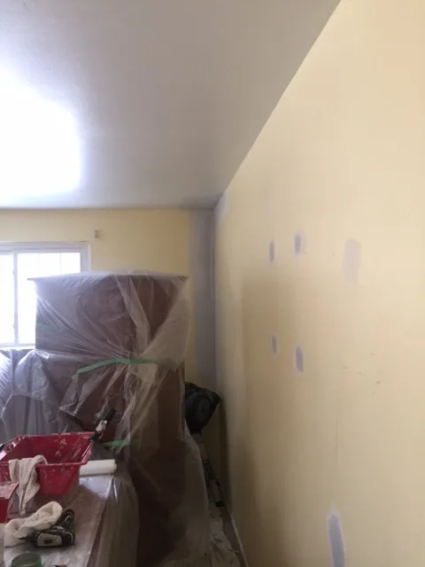 Jim's Drywall Wave by Speed Pro Painting - Photo 4