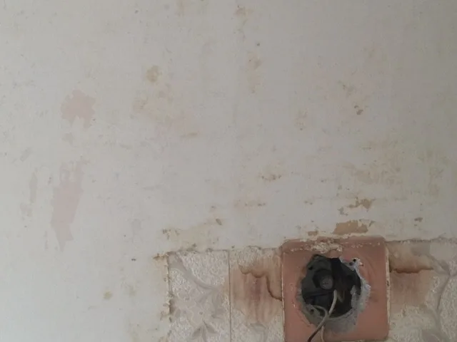 Kathie's Restroom by Speed Pro Painting - Photo 6