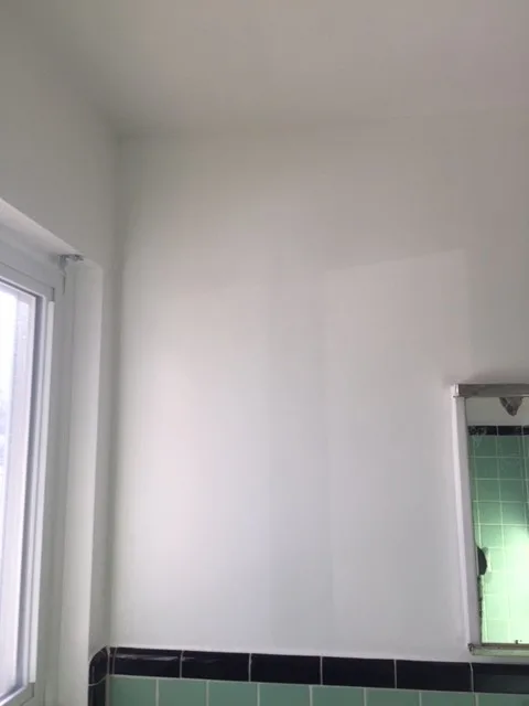 Kathie's Restroom by Speed Pro Painting - Photo 9