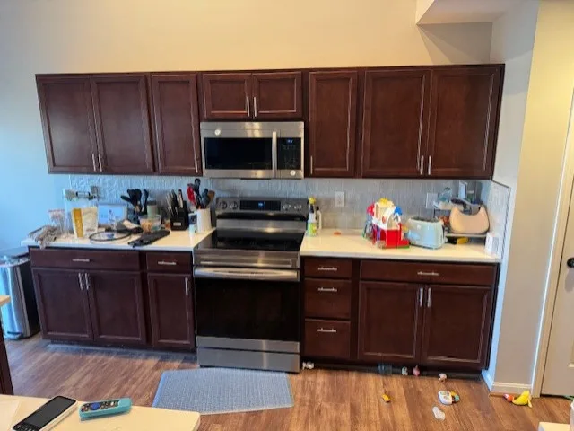 Louisville, KY Kitchen Cabinet Refinishing Makeover by Wilder Painting - Photo 5