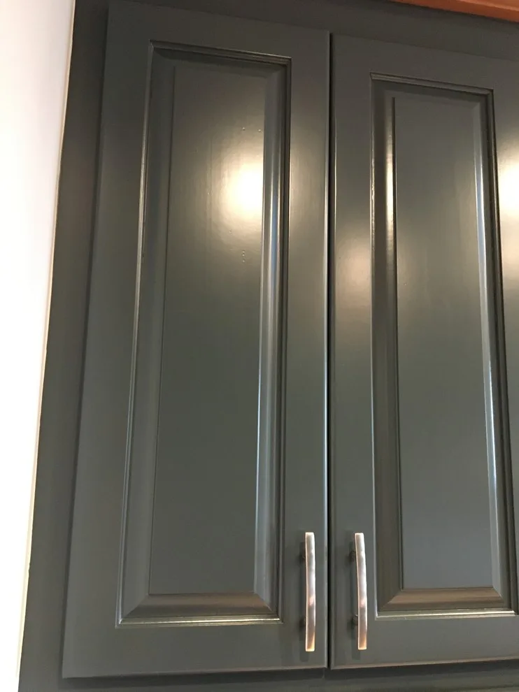 Culinary Storage Solutions by Transformational Color - Photo 2