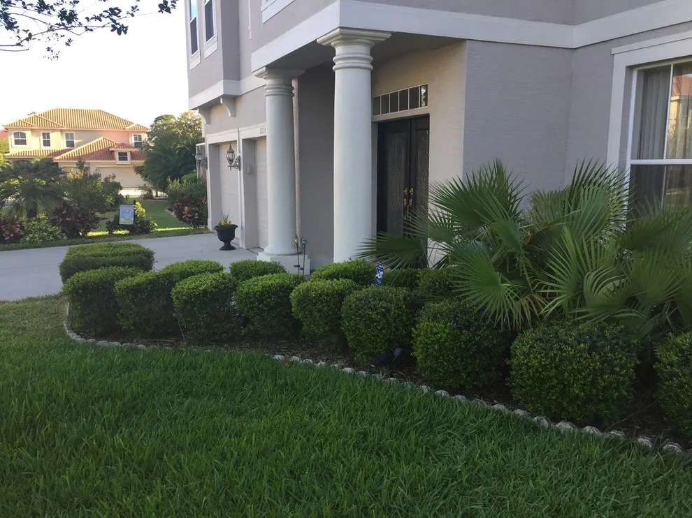 Dunedin Landscape Renovation by WelcomeScape Curb Appeal Designs - Photo 5