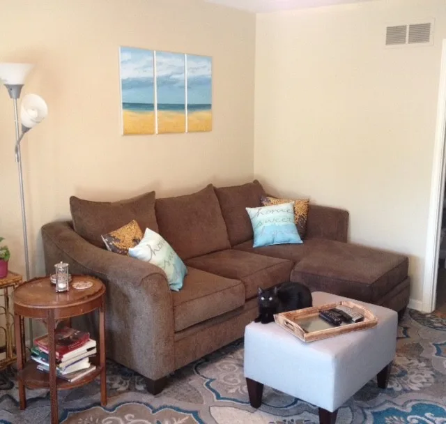 Lansing - Coastal Themed Living Room by Alison Alfredson Color & Design - Photo 4