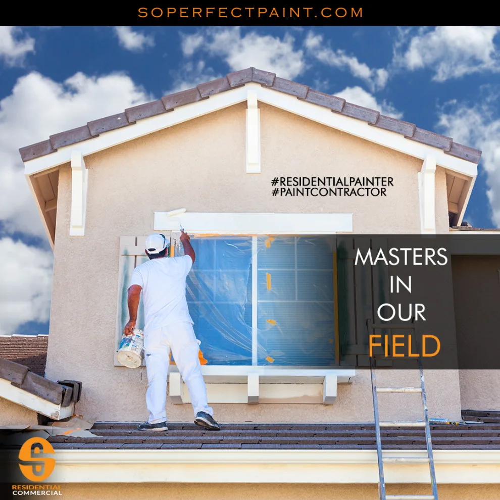 Advertising and Social Media by Southern Perfection Painting Inc. - Photo 7