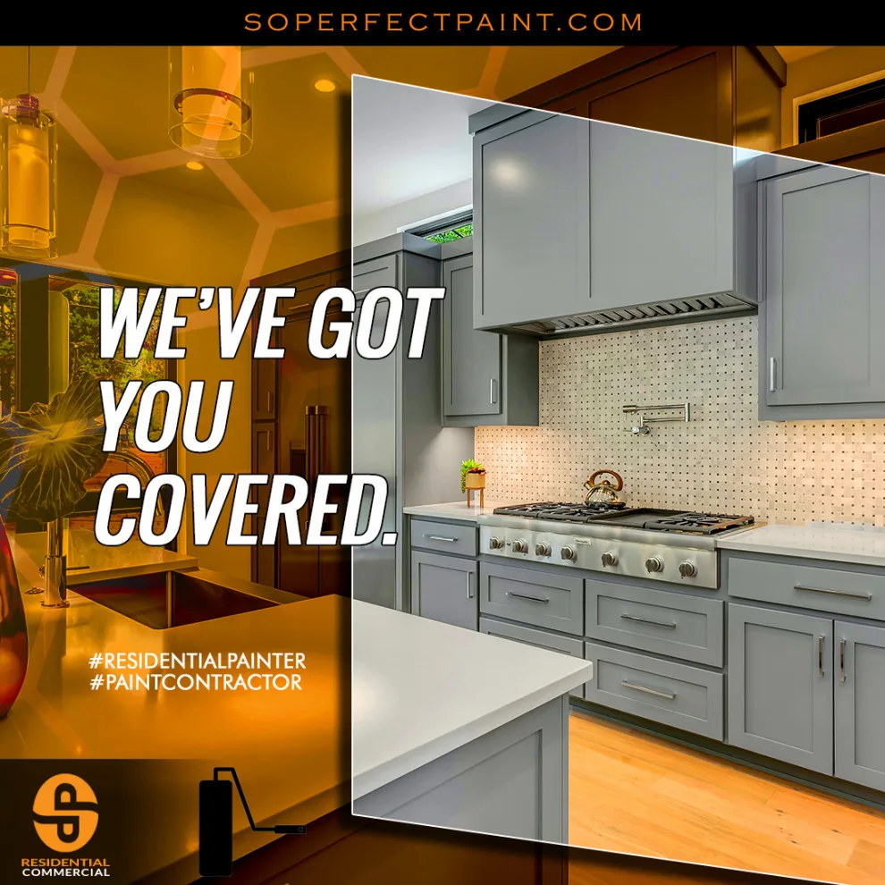 Advertising and Social Media by Southern Perfection Painting Inc. - Photo 47
