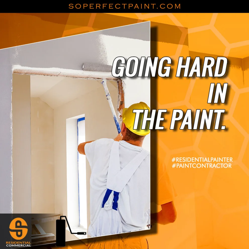 Advertising and Social Media by Southern Perfection Painting Inc. - Photo 158