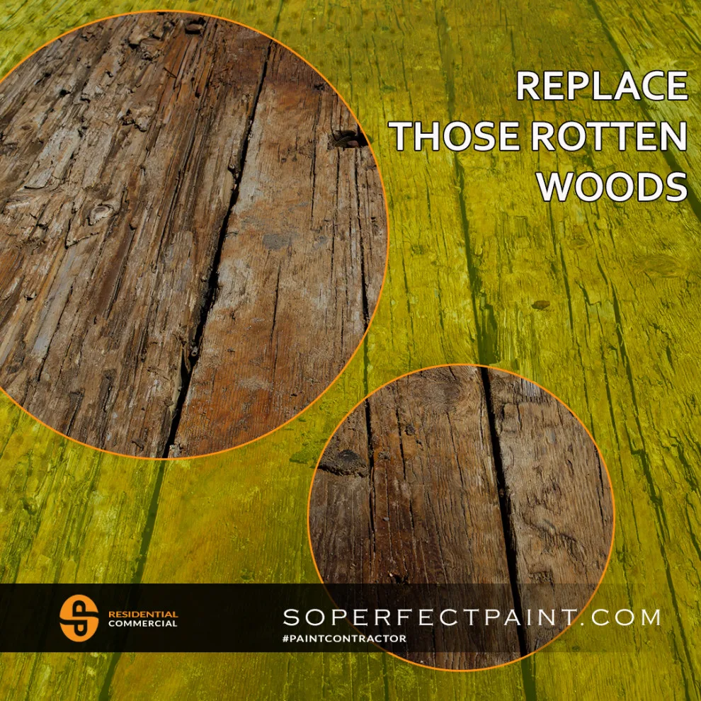 Advertising and Social Media by Southern Perfection Painting Inc. - Photo 178